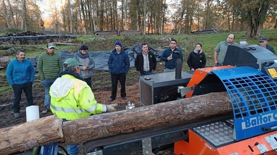 Productores madereros de Aysén realizan gira técnica a Los Ríos apoyados por INFOR