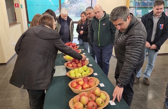 Efectos del cambio climático potencian a Ñuble como la futura región frutícola de Chile