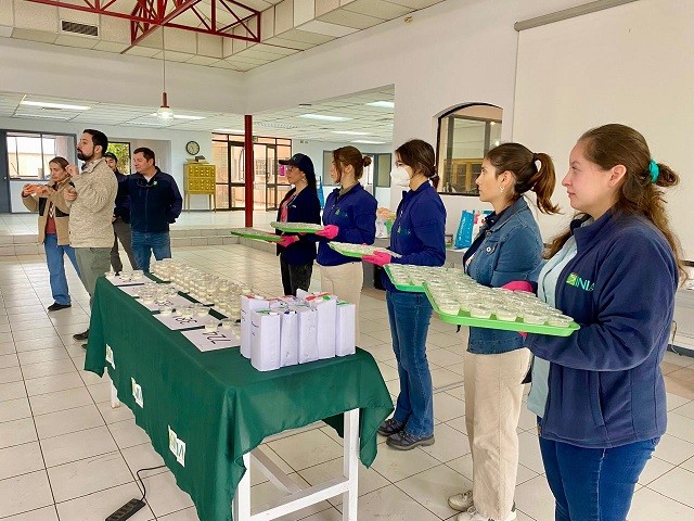 Científicos estudian nuevo tipo de leche alta en proteína para alérgicos