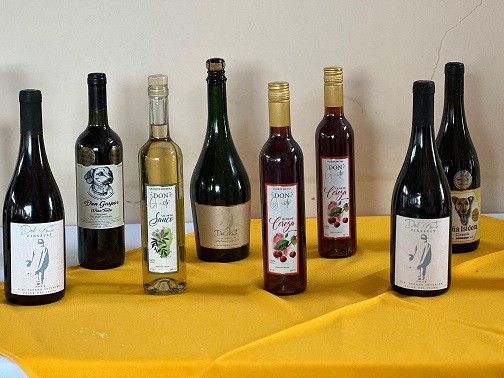 Viñateros del Biobío se incorporan a la Mesa Tri-regional del Vino