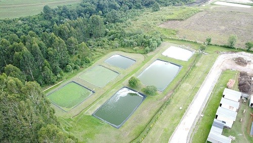 Aviagen América Latina lidera el camino en sostenibilidad ambiental en Brasil