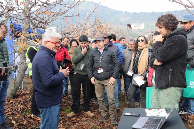 PEC Cherry Conference: Comité de Cerezas de Frutas de Chile participa en importante evento de transferencia técnica sobre el cerezo