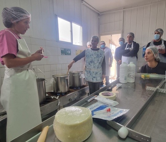 Microempresarios caprinos incorporan técnicas de producción de queserías francesas