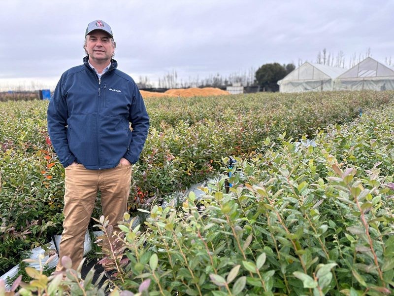 Ruy Barbosa es confirmado como presidente del Comité de Arándanos de Frutas de Chile