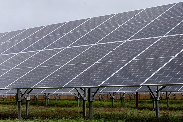 Agromillora Sur instala planta fotovoltaica que cubrirá el 40% de energía eléctrica en sus operaciones