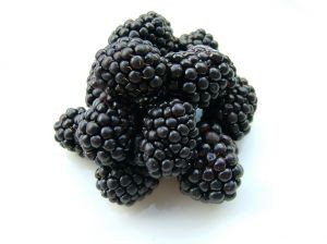 Estadounidenses desarrollan variedad de mora con semillas suaves y pequeñas, mejorando la experiencia de consumo