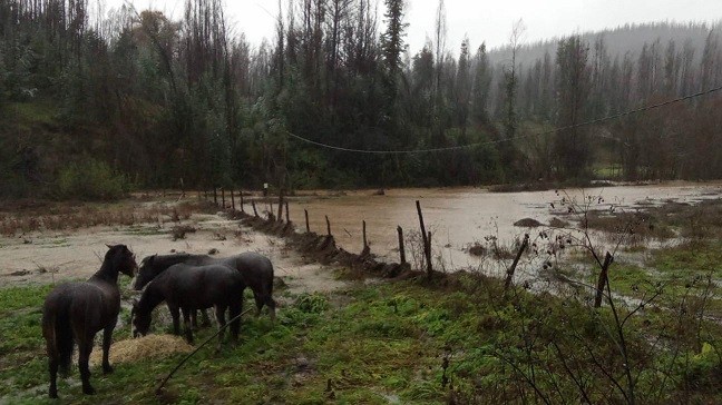 Ministro de Agricultura por frente de mal tiempo: “La lluvia en el sur ha sido compleja, pero no comparable con las dos tormentas del año pasado”