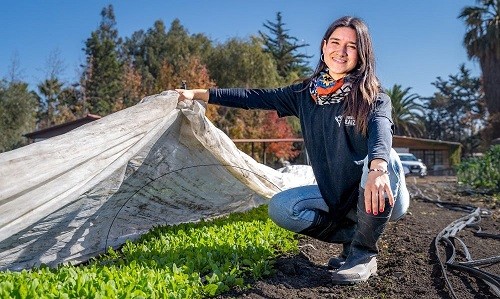 NUEVAS GENERACIONES CAMPESINAS: INDAP LANZA INÉDITA CONSULTA CIUDADANA PARA CONOCER Y ESCUCHAR A LAS JUVENTUDES RURALES DE TODO EL PAÍS