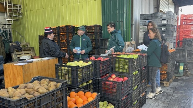 SAG Biobío realiza campaña informativa para evitar el ingreso de mosca de la fruta en Vega Monumental de Concepción