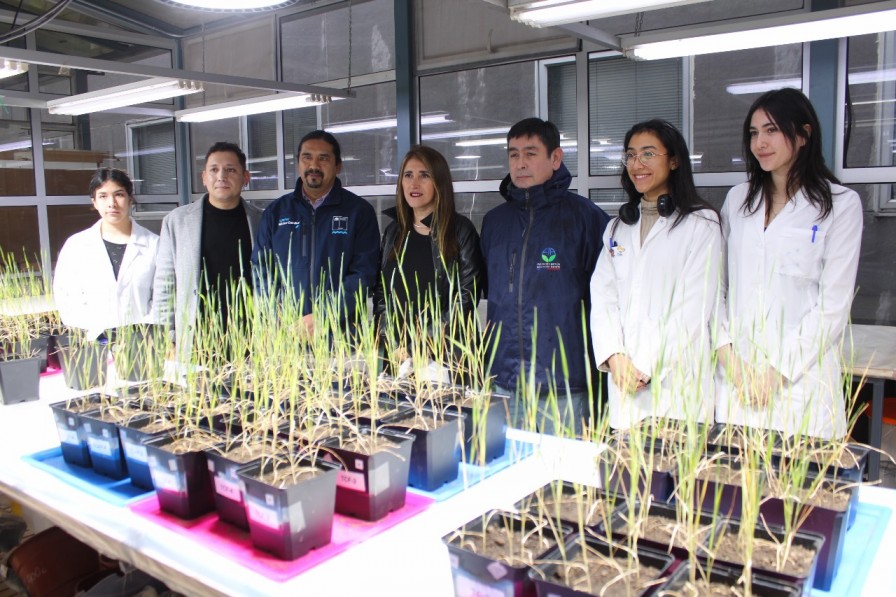 Paola Durán, Premio FIA a la Mujer AgroInnovadora, lidera moderno laboratorio de agricultura sostenible