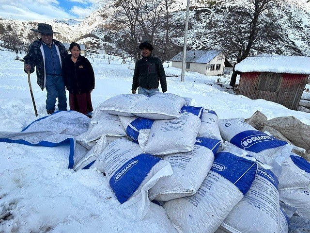 Gobierno comenzó entrega de alimentación animal para 2.293 agricultores en Alto Biobío