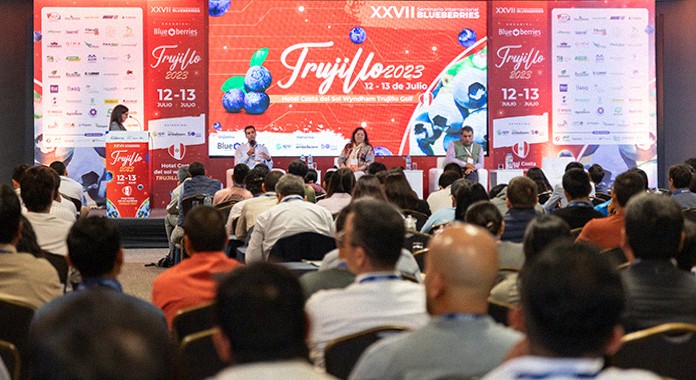 Evolución y modelos de comercialización para los arándanos peruanos se abordarán en Trujillo