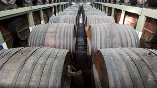 Consorcio I+D Vinos de Chile lanzó nuevo Código de Sustentabilidad reconocido como uno de los mejores del mundo