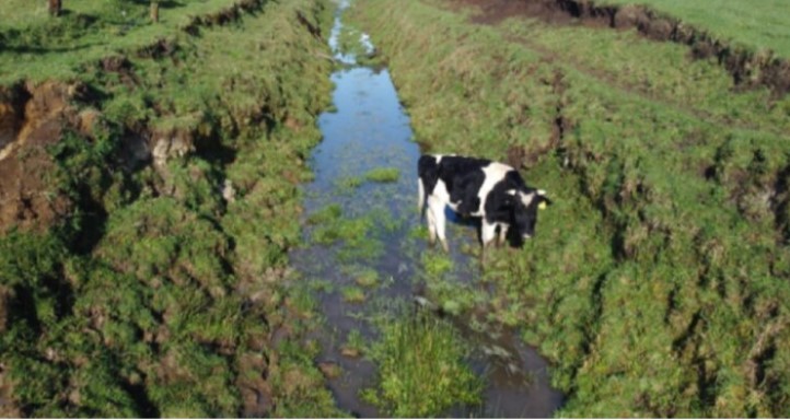 Lo antes posible: agricultores del Bío Bío esperan reparación de cañales dañados por sistema frontal