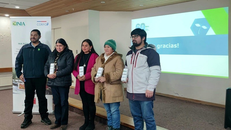 INIA y Achipia con apoyo de Corfo Los Lagos ayudan a producir hortalizas inocuas en Chiloé