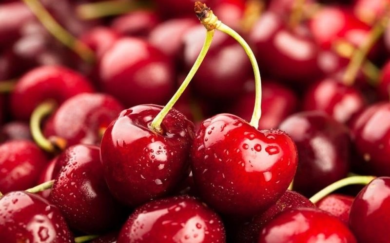 BARCOS “CHERRY EXPRESS” Y MÁS DE 70 MIL HECTÁREAS DE CULTIVO: LAS RAZONES DEL REINADO DE LA CEREZA CHILENA EN CHINA