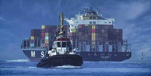 Exportaciones a nivel país superan los 50 mil millones de dólares durante el primer semestre