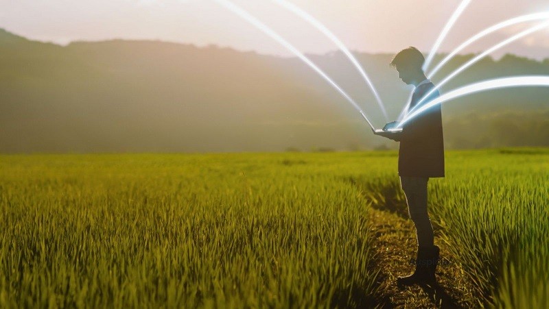 SQM Yodo Nutrición Vegetal auspicia iniciativa de la SNA para apoyar la innovación tecnológica en la agricultura