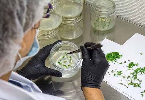 Un Legado de 27 Años: Agromillora Sur y su Apuesta por la Sostenibilidad
