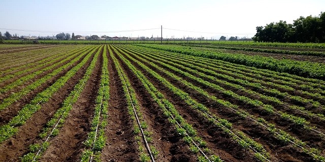 CNR llama a comunidades agrícolas e indígenas de Atacama y Coquimbo a participar en concurso de tecnificación para proyectos no seleccionados