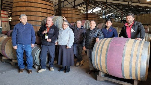 De Ñuble al mundo: El viaje asociativo de castañas y moscatel de Ñuble para llegar a las mesas extranjeras
