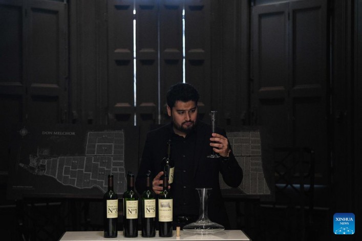Chile apuesta por vinos de lujo renombrados a nivel mundial