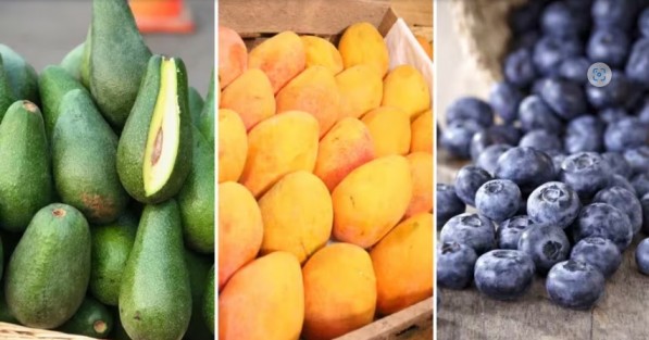 Exportaciones de frutas peruanas alcanzan 1.933 millones de dólares en enero-mayo