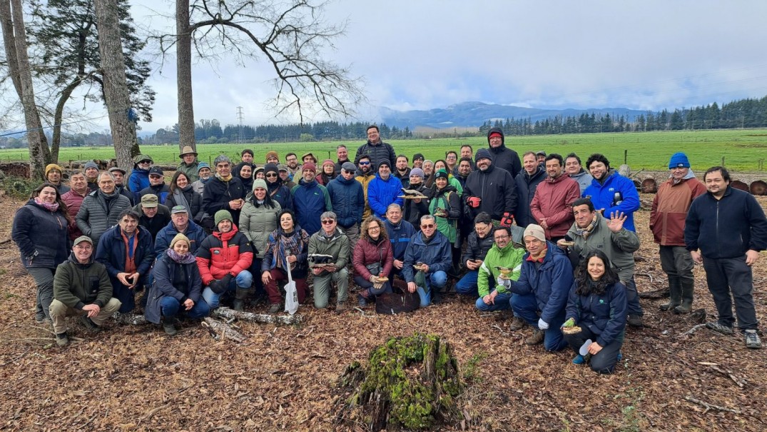 Expertos buscan transformar uso de bosque nativo en una práctica responsable y rentable en Chile