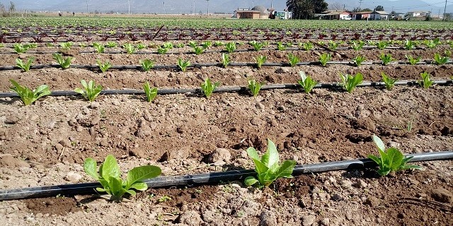 Comunidades agrícolas e indígenas del Norte Chico podrán participar en concurso de tecnificación para proyectos no seleccionados de la CNR