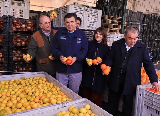 Ministro Valenzuela analiza productos de temporada: “nuestra producción hortícola es resiliente”