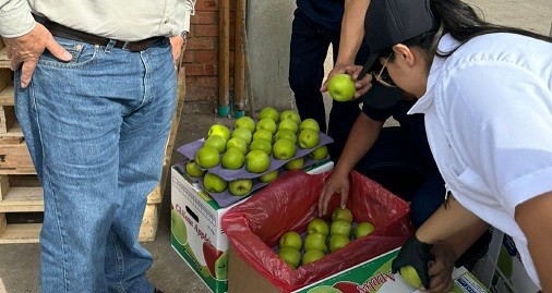 O’Higgins: Empresa productora de fruta llegó a mercados de Brasil y Colombia gracias al programa Exporta Más de ProChile