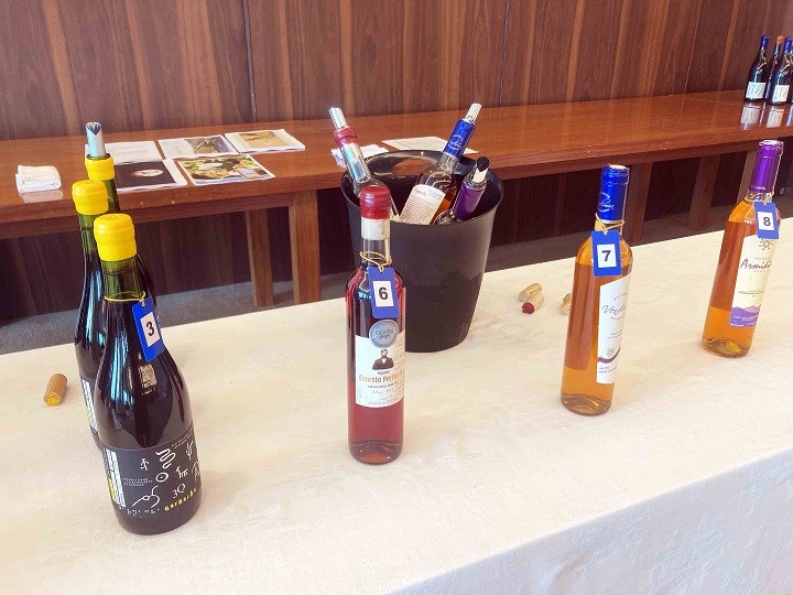 Vinos de Atacama destacaron en exitoso masterclass realizado en Japón