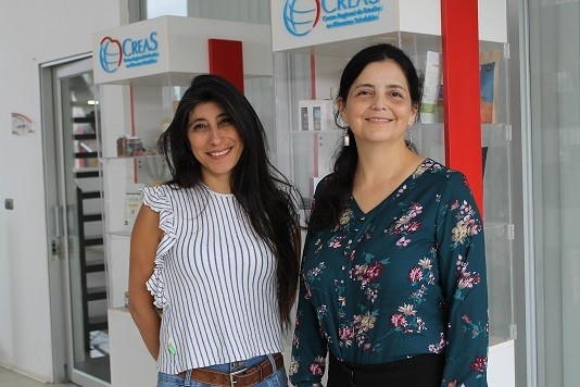 Harinas no convencionales: una tendencia alimentaria en aumento