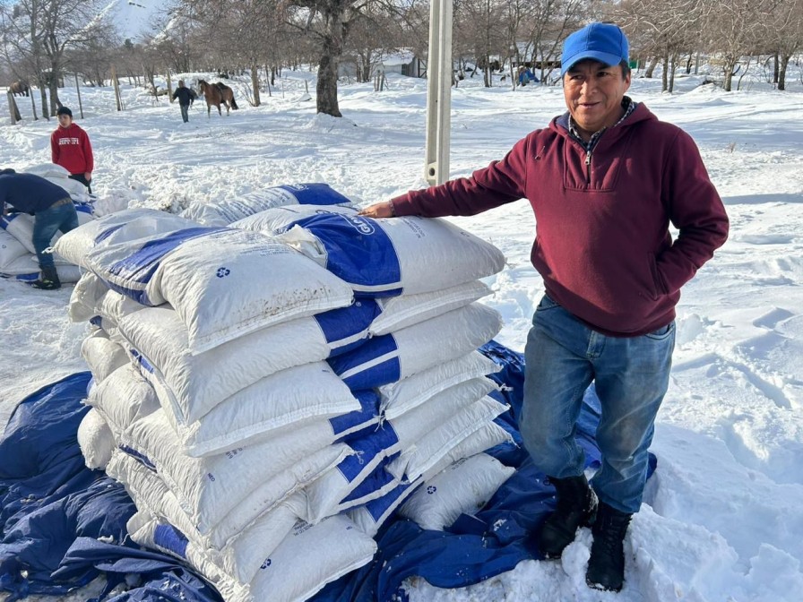 Minagri e INDAP entran en la etapa final de entregas de alimento animal para agricultores del Biobío