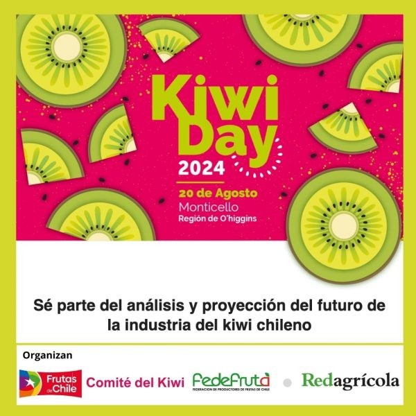 Industria del kiwi se prepara para su primer “Kiwi Day 2024”: Productores, Exportadores y Expertos analizarán la situación actual y futura del kiwi chileno