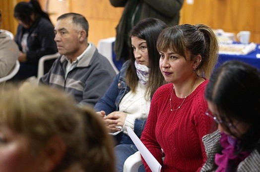 Maullín: pescadoras artesanales se capacitan para acortar sus brechas digitales