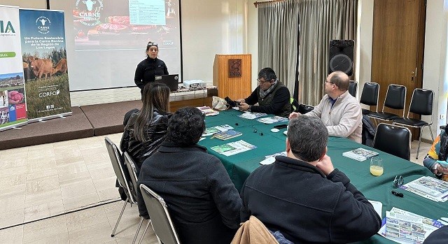 Refuerzan competitividad del sector en nueva reunión del PTI de la Carne Bovina