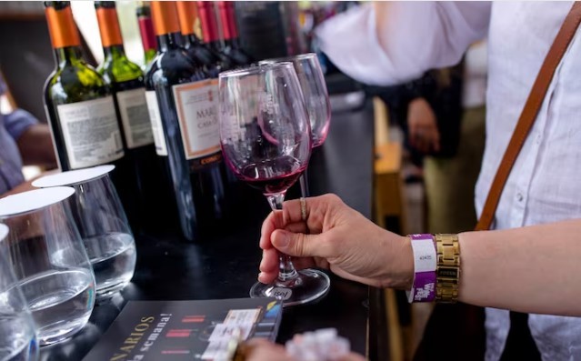 Anuncian incorporación de nuevas variedades y denominaciones de origen para vino chileno