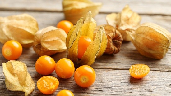 Goldenberries: Logran convertir una planta silvestre en un cultivo de interés agrícola