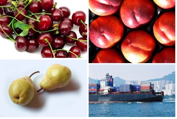 Exportaciones de frutas suben 3,1% en período enero - junio