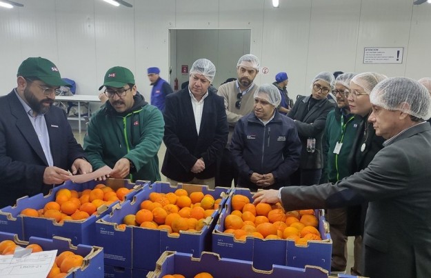 Gobierno Regional de Coquimbo acuerda la urgencia en la construcción de nuevo Sitio de Inspección Fitosanitaria para las exportaciones destinadas a EEUU