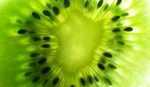 La nueva etapa del kiwi chileno