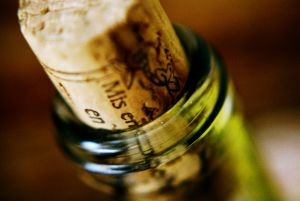 EXPORTACIONES VINO CHILENO DURANTE JUNIO 2024
