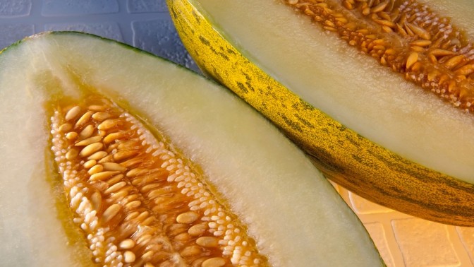 Chile exporta melones a Brasil y fortalece relaciones comerciales con la importación de paltas