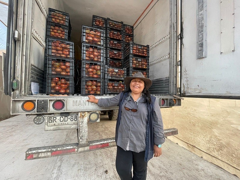 Agricultora del Valle de Azapa Isabel Quispe entregó su primera carga de hortalizas en Mercado Lo Valledor