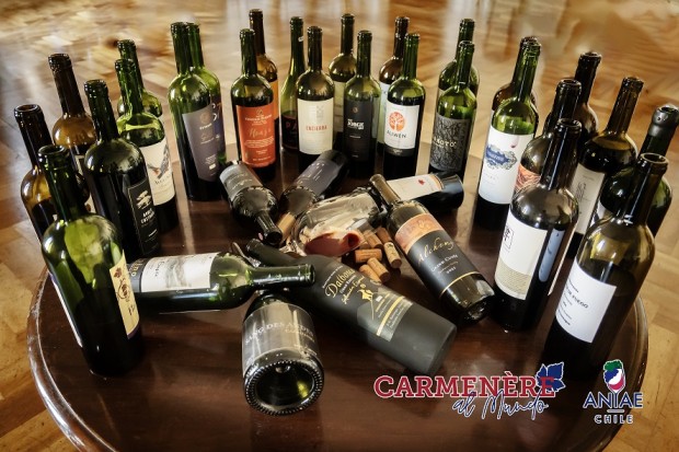 ASOCIACIÓN NACIONAL DE INGENIEROS AGRÓNOMOS ENÓLOGOS ANUNCIA LOS GANADORES DEL CONCURSO INTERNACIONAL DE VINOS “CARMENÈRE AL MUNDO” 2024