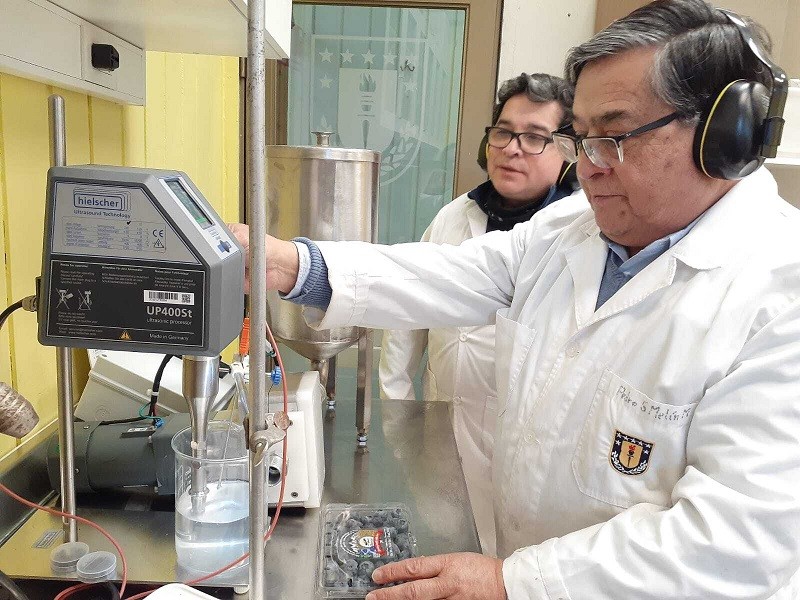 Ultrasonido: una tecnología estratégica para dar valor agregado a frutas y hortalizas