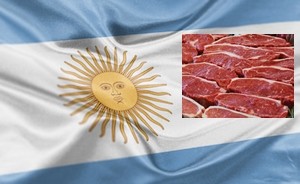 LAS EXPORTACIONES DE CARNE DE VACUNO ARGENTINAS EN EL PRIMER SEMESTRE SON LAS MÁS ALTAS DESDE 1990