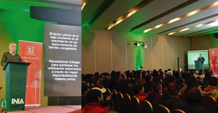 Director de Chilealimentos expuso sobre el mercado de los berries congelados en Encuentro Frutícola de la Araucanía