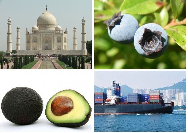 Chile quiere seducir al mercado de la India con frutos y vinos, pero necesita una reducción de los aranceles